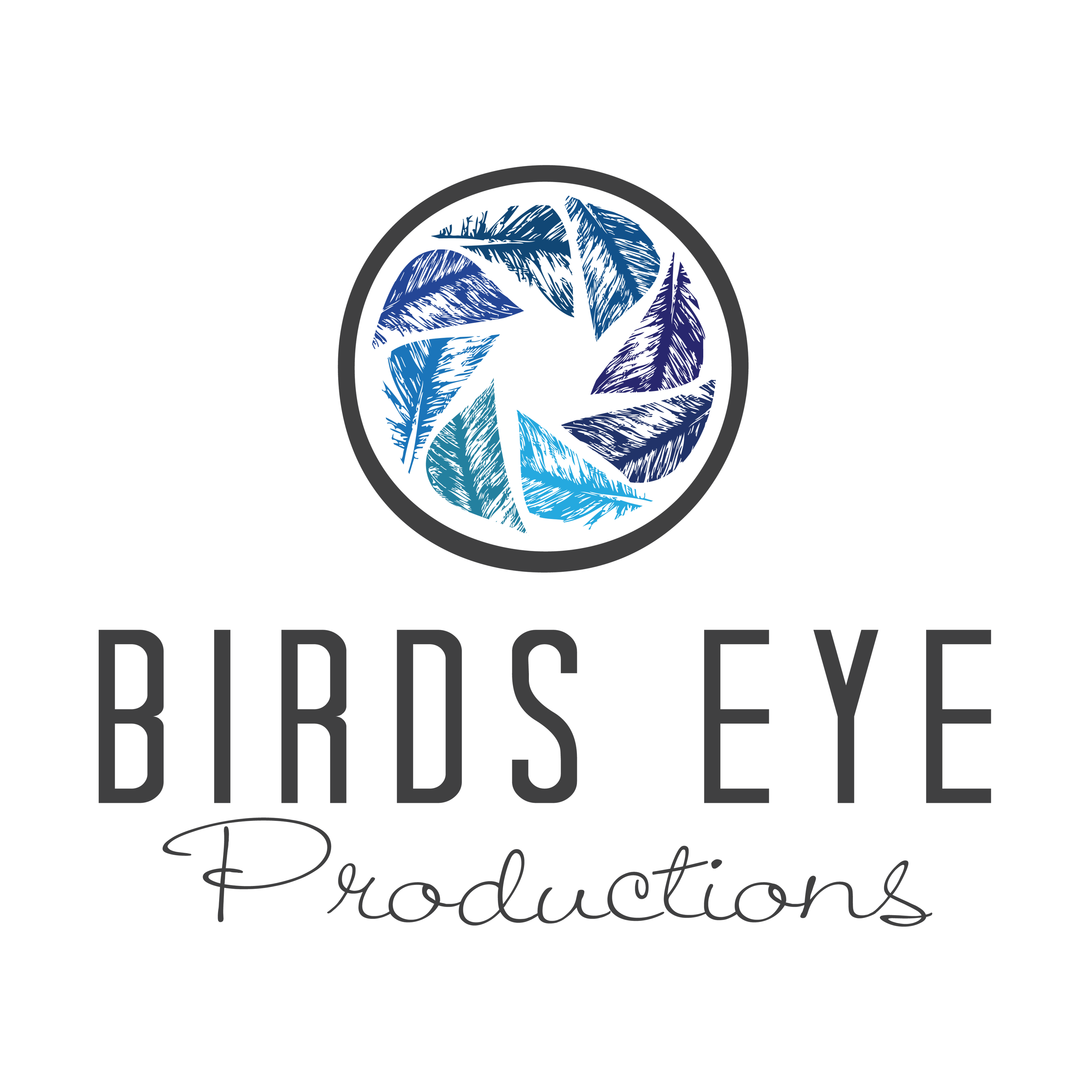Birds Eye Productions, LLC